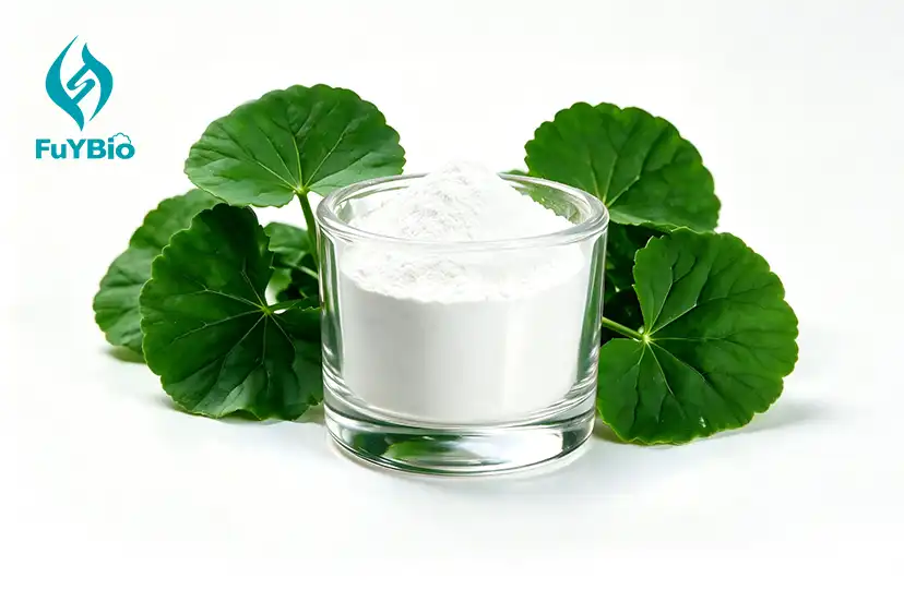 Centella Asiatica Extract 80% Madecassoside
